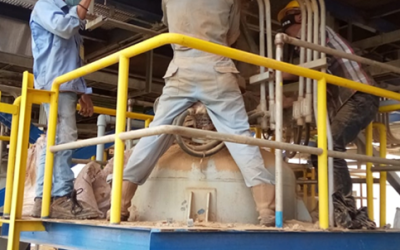 image 4 image 4